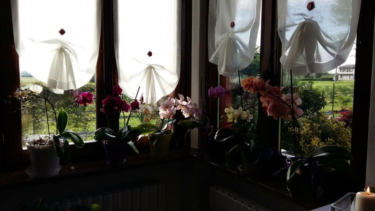 I 99 Ulivi Bed & Breakfast Cavour Dış mekan fotoğraf